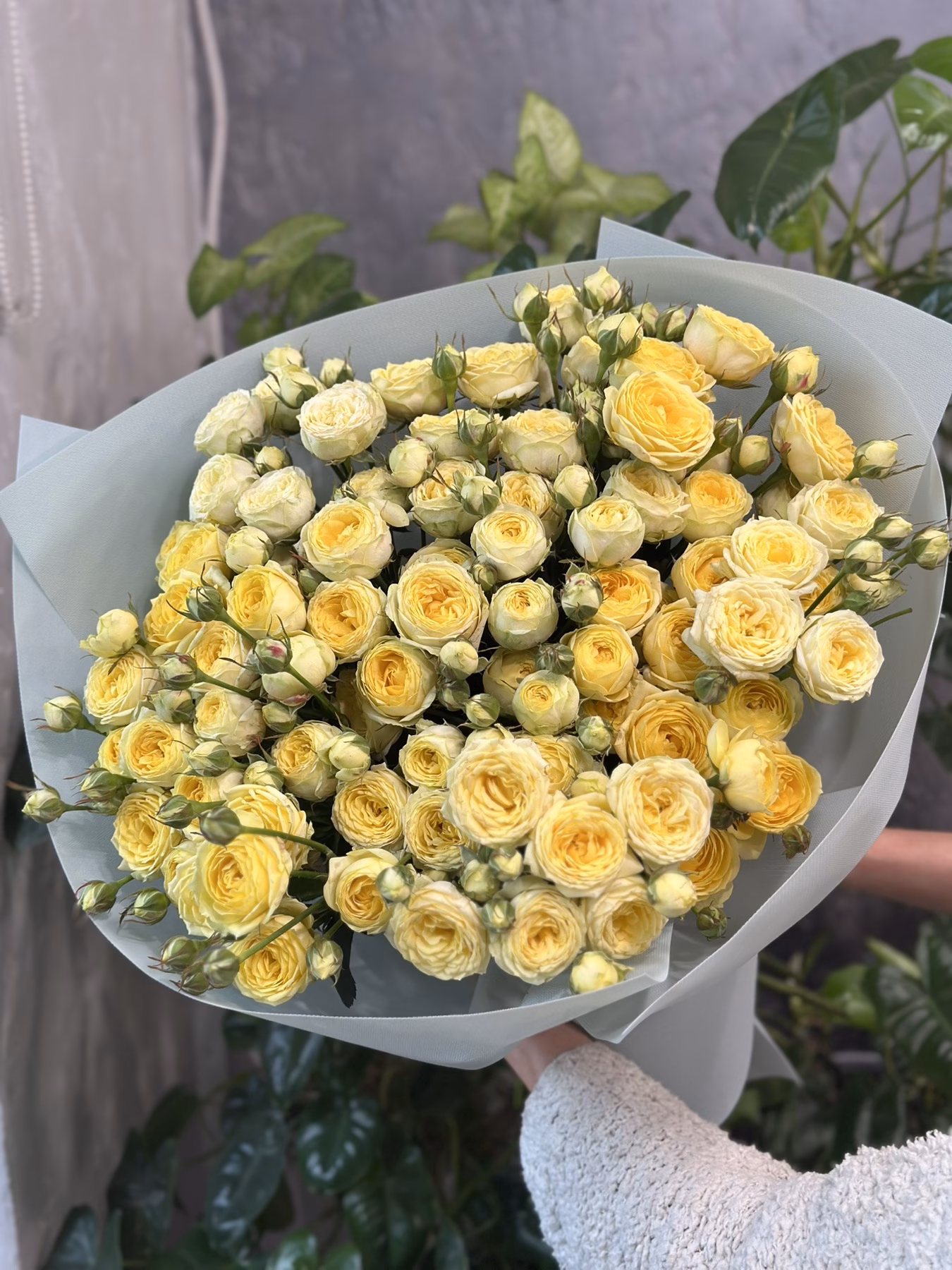 Букет 15 або 25 гілок кущових троянд "Lemon Trendsetter"