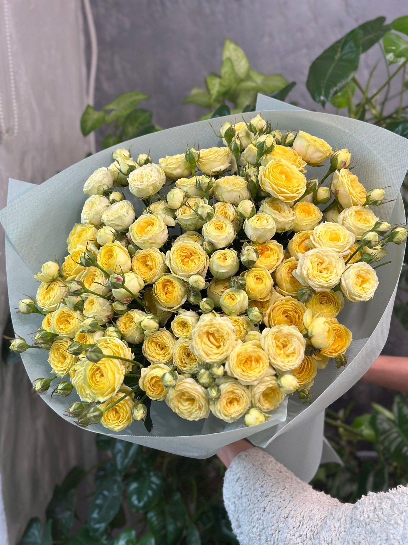 Букет 15 або 25 гілок кущових троянд "Lemon Trendsetter"