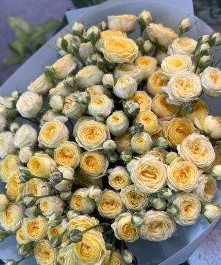 Букет 15 або 25 гілок кущових троянд "Lemon Trendsetter"