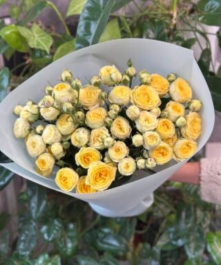 Букет 9 гілок кущових троянд "Lemon Trendsetter"