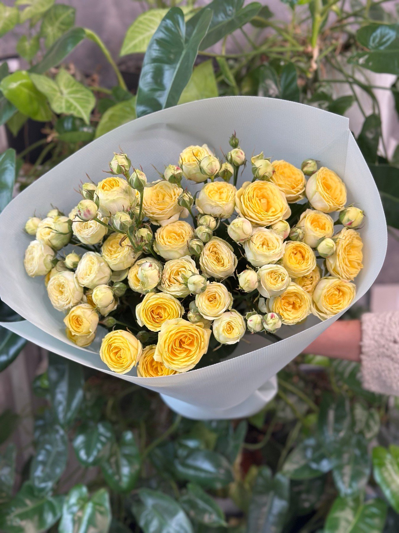 Букет 9 гілок кущових троянд "Lemon Trendsetter"