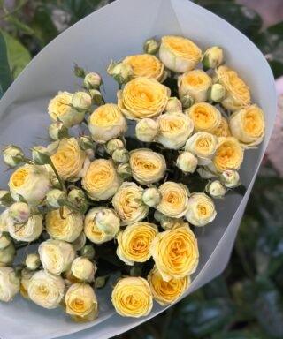 Букет 9 гілок кущових троянд "Lemon Trendsetter"