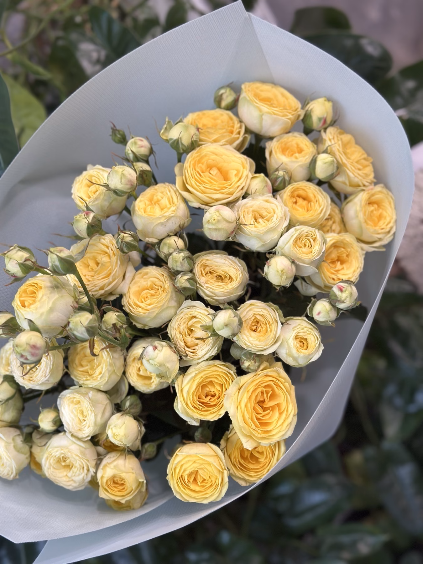 Букет 9 гілок кущових троянд "Lemon Trendsetter"