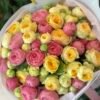 Букет Мікс з 15 гілок піоноподібних кущових троянд