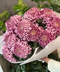 “Big Size”Букет з 11 рожевих хризантем “Viena”