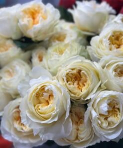 “Exclusive” Букет з 9, 15 або 21 піоноподібних троянд "Antonia Garden"