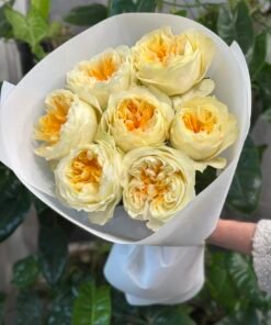 “Exclusive” Букет з 7 піоноподібних троянд "Antonia Garden"