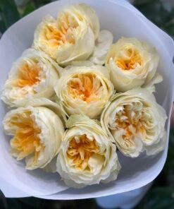 “Exclusive” Букет з 7 піоноподібних троянд "Antonia Garden"