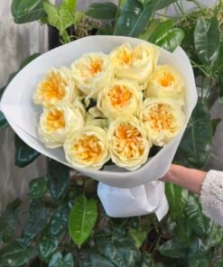 “Exclusive” Букет з 9 піоноподібних троянд "Antonia Garden"