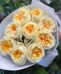 “Exclusive” Букет з 9 піоноподібних троянд "Antonia Garden"