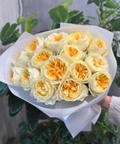 Exclusive” Букет з 15 або 21 піоноподібних троянд "Antonia Garden"