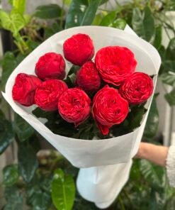 “Exclusive” Букет з 9 піоноподібних троянд "Red Piano"