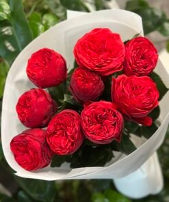 “Exclusive” Букет з 9 піоноподібних троянд "Red Piano"