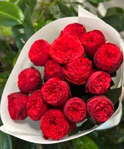 “Exclusive” Букет з 15 або 21 піоноподібних троянд "Red Piano"