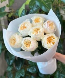 “Exclusive” Букет з 7 піоноподібних троянд "Avrora Garden"