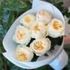 “Exclusive” Букет з 7 піоноподібних троянд
