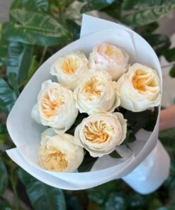 “Exclusive” Букет з 7 піоноподібних троянд "Avrora Garden"