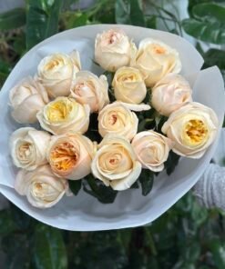 “Exclusive” Букет з 15 або 23 піоноподібних троянд "Cream X-pression"