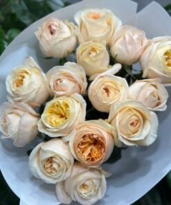 “Exclusive” Букет з 15 або 23 піоноподібних троянд "Cream X-pression"