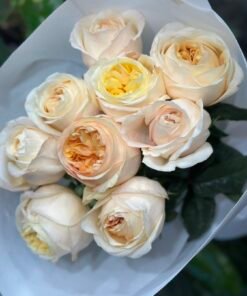 “Exclusive” Букет з 9 піоноподібних троянд "Cream X-pression"