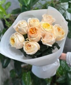 “Exclusive” Букет з 9 піоноподібних троянд "Cream X-pression"