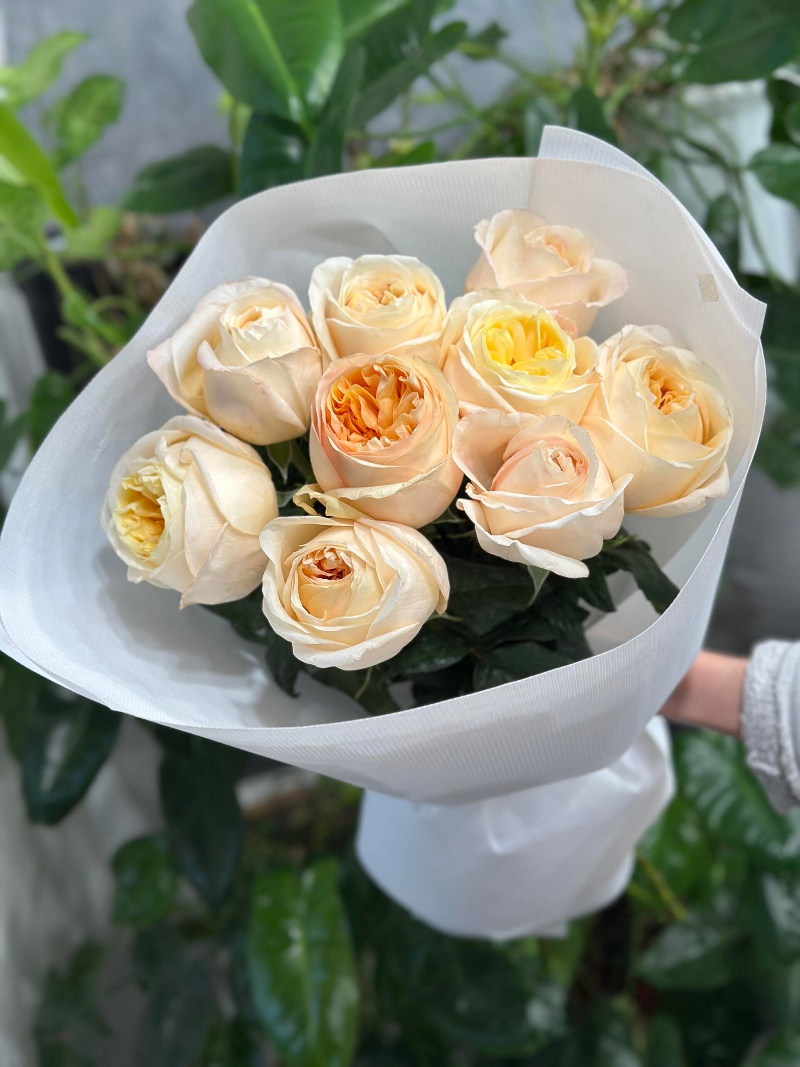 “Exclusive” Букет з 9 піоноподібних троянд "Cream X-pression"