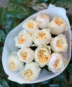 “Exclusive” Букет з 11 піоноподібних троянд "Avrora Garden"