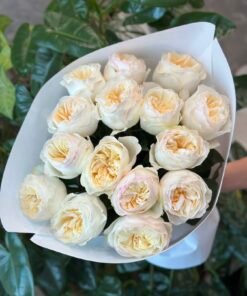 “Exclusive” Букет з 15 або 21 піоноподібних троянд "Avrora Garden"