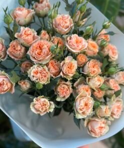 Букет з 7 гілок піоноподібних кущових троянд «Aureus»