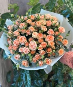 Букет з 15 гілок піоноподібних кущових троянд «Aureus»