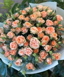 Букет з 15 гілок піоноподібних кущових троянд «Aureus»