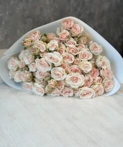 Букет з 15 гілок кремових кущових троянд «B.S Volans»