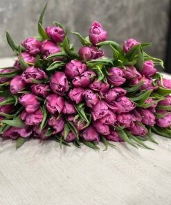 Букет з 35 або 45 бузкових піоноподібних тюльпанів “Celine”