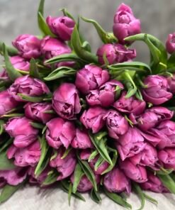 Букет з 35 або 45 бузкових піоноподібних тюльпанів “Celine”