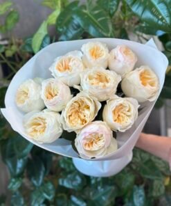 “Exclusive” Букет з 11 піоноподібних троянд "Avrora Garden"