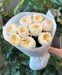 “Exclusive” Букет з 9 піоноподібних троянд "Avrora Garden"