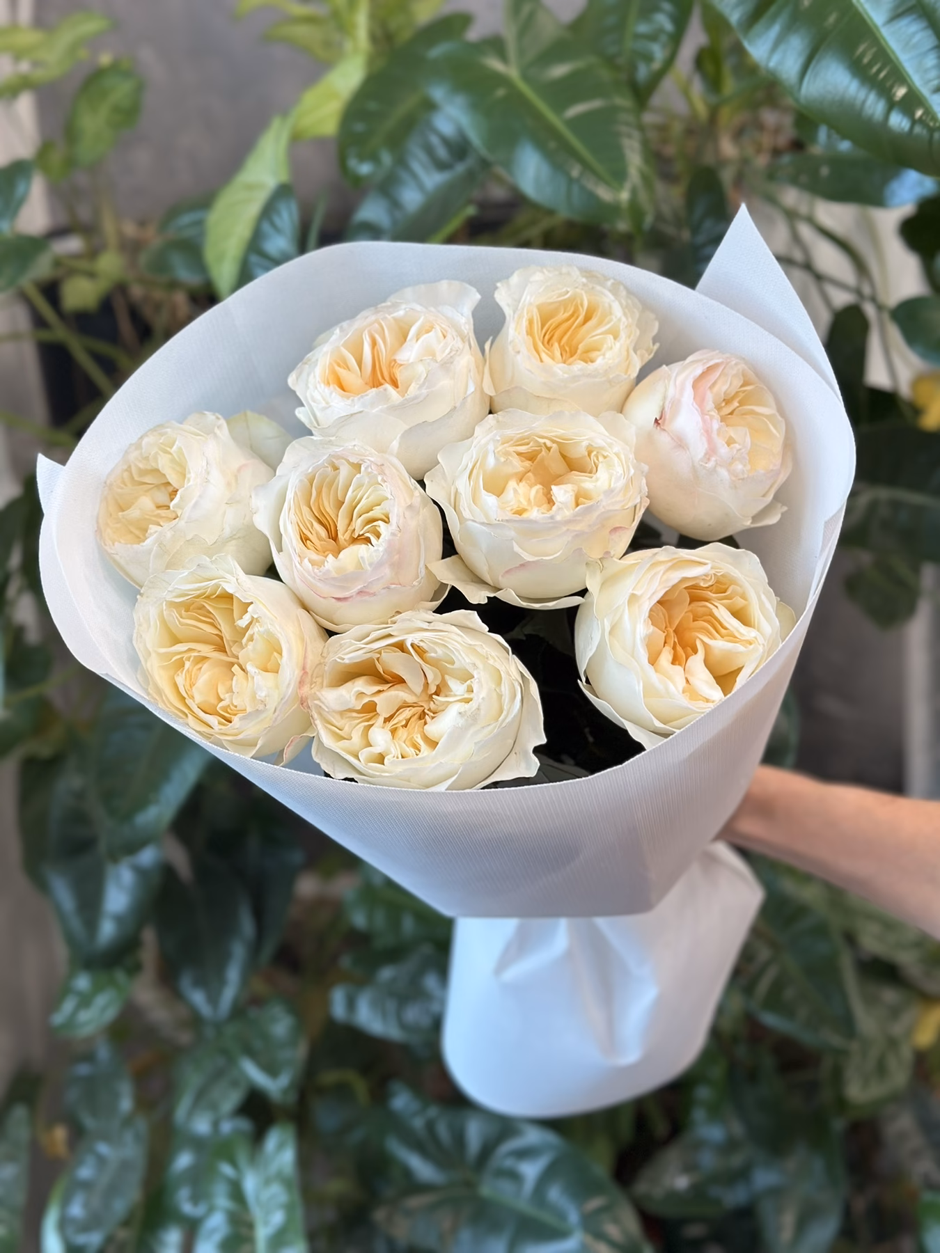 “Exclusive” Букет з 9 піоноподібних троянд "Avrora Garden"