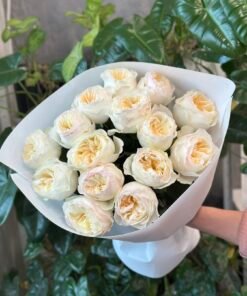 “Exclusive” Букет з 15 або 21 піоноподібних троянд "Avrora Garden"