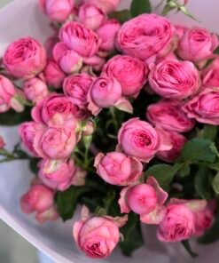 Букет з 9 гілок кущових троянд "Giselle"