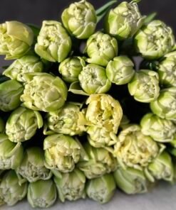 Букет 15 піоноподібних тюльпанів