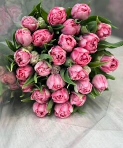 Букет з 15 або 25 піоноподібних тюльпанів "Mariage"