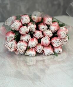 Букет з 15 або 25 піоноподібних тюльпанів "Sambuca"