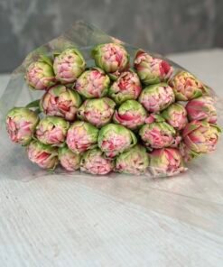 Букет з 15 або 25 піоноподібних тюльпанів "Columbus"