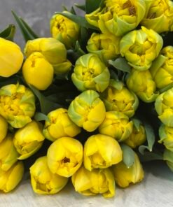 Букет з 35 або 45 жовтих піоноподібних тюльпанів