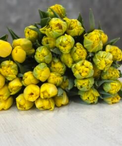 Букет з 15 жовтих піоноподібних тюльпанів