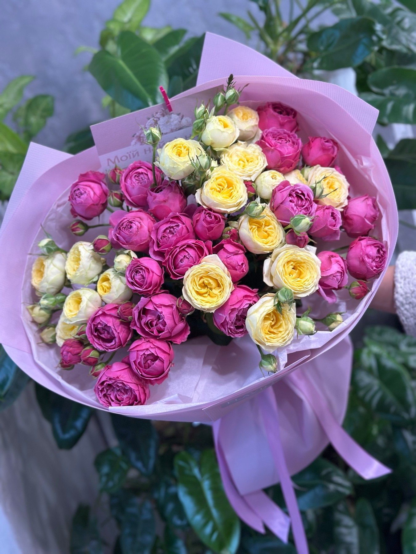 Мікс з 15 гілок кущових піоноподібних троянд