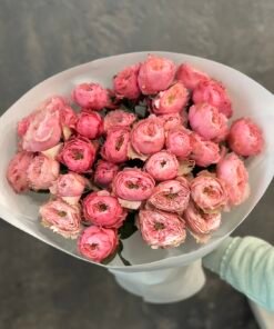 Букет з кущових троянд Abbey 11 шт