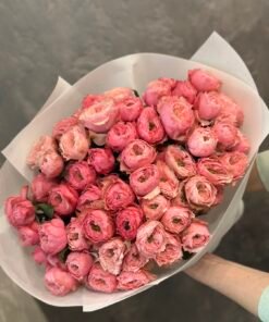 Букет з кущових троянд Abbey 19 шт