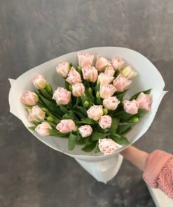 Букет з піоноподібних тюльпанів “Dreamer” 25 шт