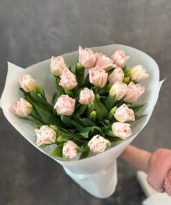 Букет з піоноподібних тюльпанів “Dreamer” 19 шт
